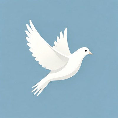 White dove flying on blue background