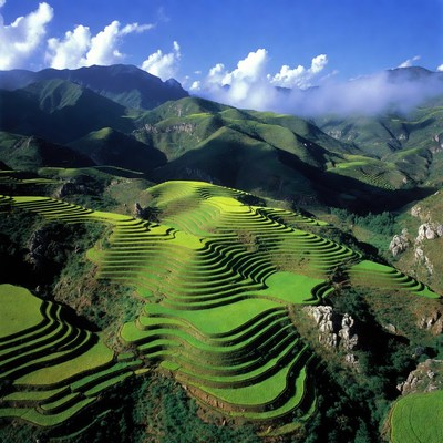 Terraced Rice Fields in Mountains