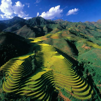 Terraced Rice Fields in Mountains