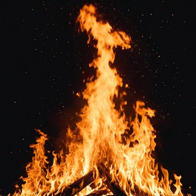 Burning Campfire Flames on Black Background