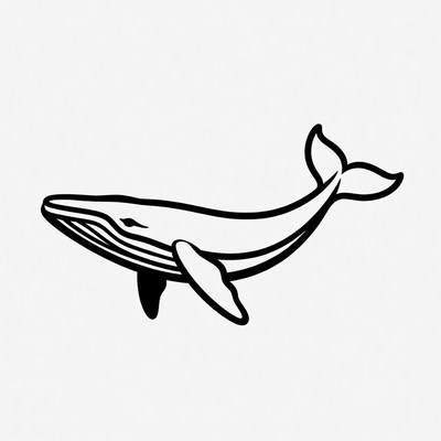 Humpback Whale Line Art