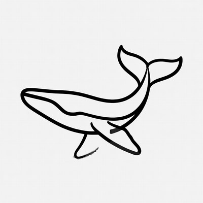 Line drawing of humpback whale