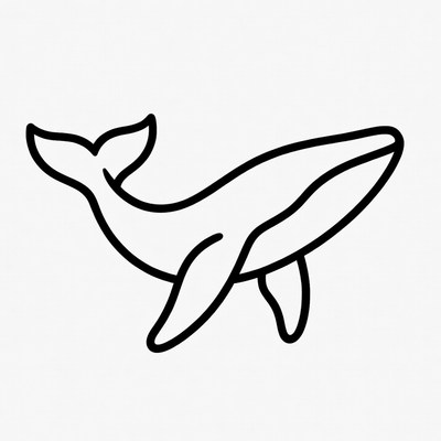 Line Art Whale Illustration