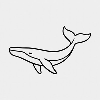 Line drawing of humpback whale