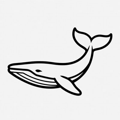 Humpback Whale Line Art