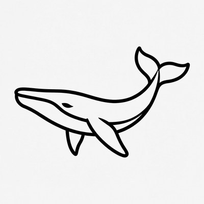 Blue Whale Outline Illustration