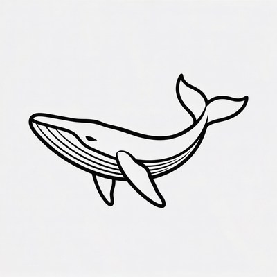 Black Outline Humpback Whale
