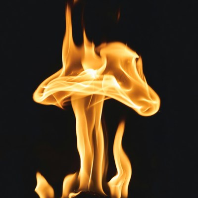 Fiery Mushroom Flame on Black