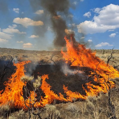 Wildfire burning dry grassland