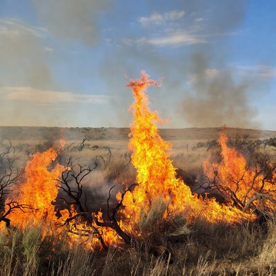Grassland wildfire burning tall flames