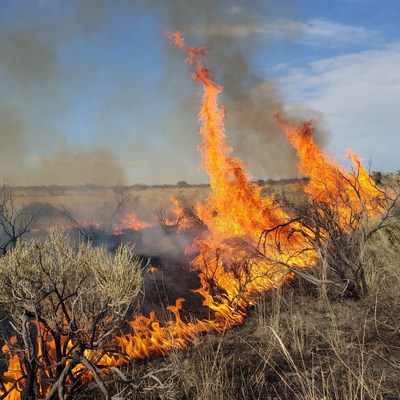 Wildfire Burning Sagebrush Landscape