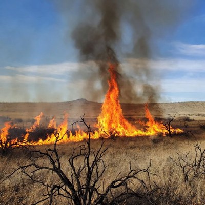 Grassland wildfire with thick smoke