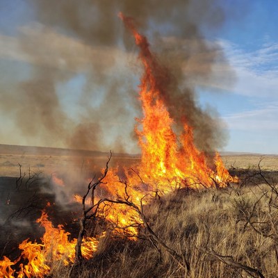 Grassland wildfire burning dry landscape