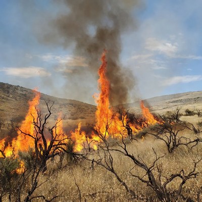 Wildfire Burning Dry Grassland Hills