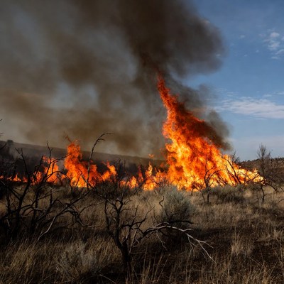 Wildfire Burning Dry Grassland