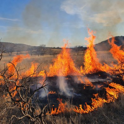 Grassland wildfire burning dry hills