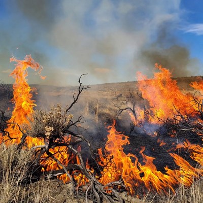 Wildfire Burning Dry Grassland Hillside