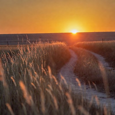 Dirt Path Through Sunlit Grass Field