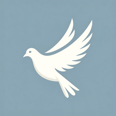 White Dove Flying Illustration
