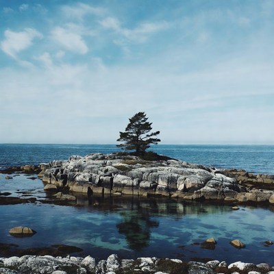 Lone pine tree on rocky island