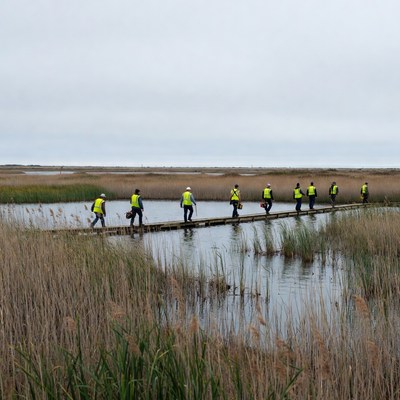 Workers in yellow vests walking boardwalk