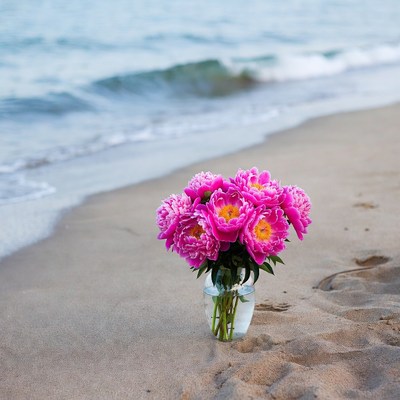 Pink peonies in vase on beach