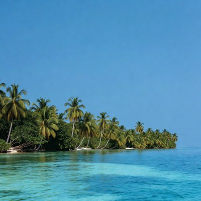 Palm Trees on Tropical Beach Shore