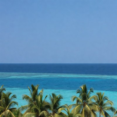 Palm Trees Over Turquoise Tropical Ocean