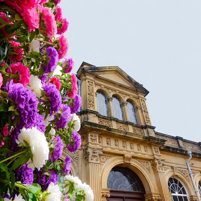 Pink Purple Flowers Against Historic Building