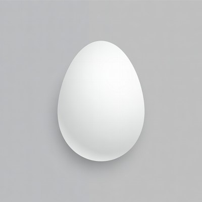 White egg on gray background