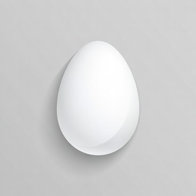 White Egg on Gray Background