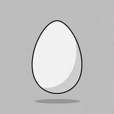 White egg on gray background