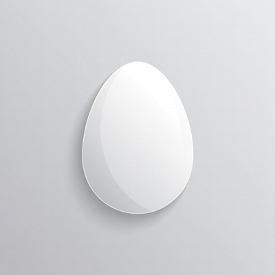 White Egg on Gray Background