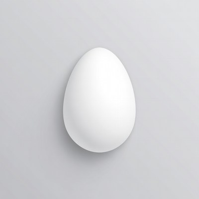 White egg on gray background