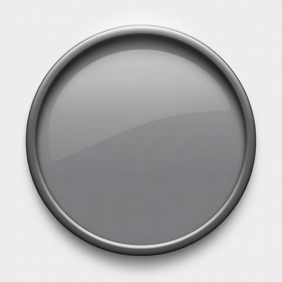 Shiny Gray Round Plate