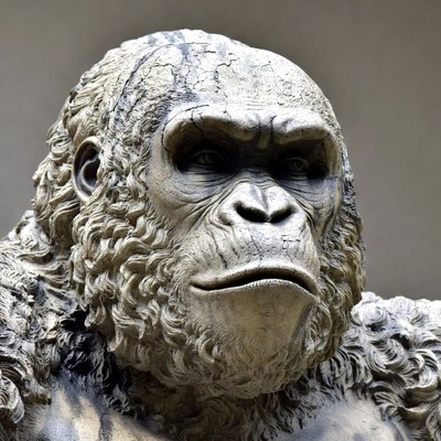 Close-up of stone gorilla sculpture