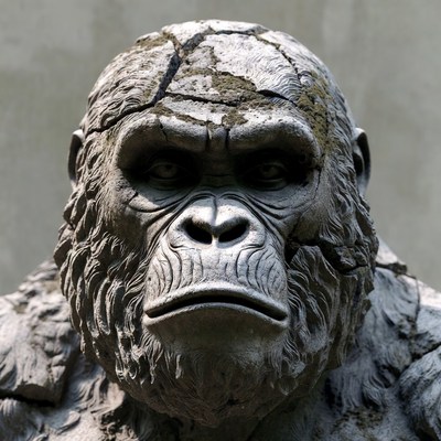 Mossy cracked gorilla statue closeup