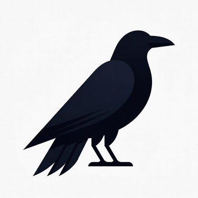 Black silhouette of crow