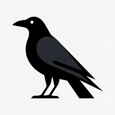 Black crow silhouette illustration