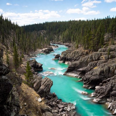 Turquoise River Flowing Through Forest Canyon
