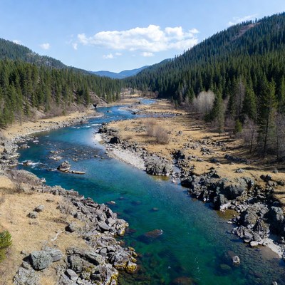 Mountain River Flowing Through Forest Valley