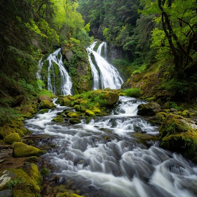 Majestic Waterfall in Lush Forest