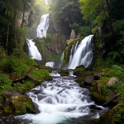 Majestic Waterfall in Lush Forest