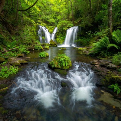Twin Waterfalls in Lush Forest