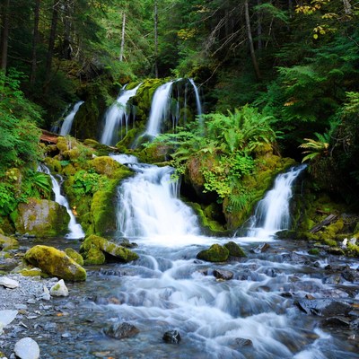 Mossy Waterfall in Lush Forest