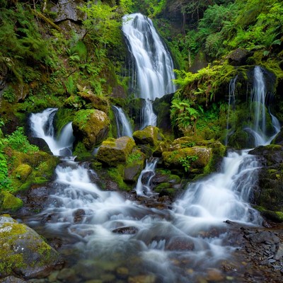Majestic waterfall cascading in lush green forest