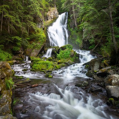 Waterfall in Lush Forest