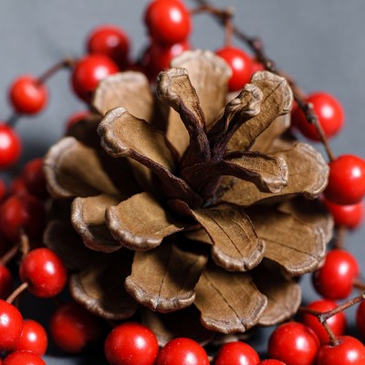 Pine Cone with Red Berries