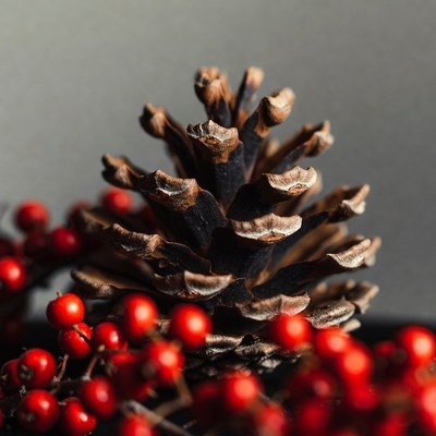 Pine Cone with Red Berries