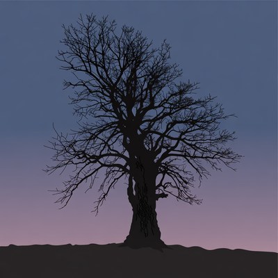 Silhouette of Bare Winter Tree